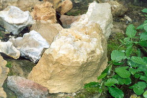 натуральный камень известняк